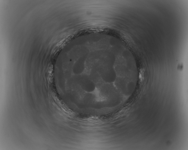 X0000114590867200911161329