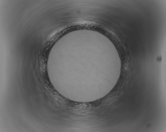 X0000114590869200911161329