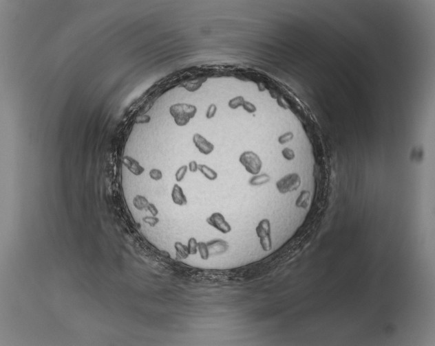 X0000114590871200911161329