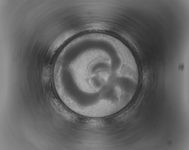 X0000114590874200911161329