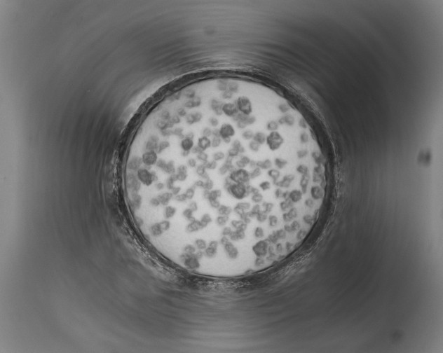 X0000114590875200911161329