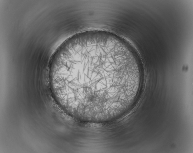 X0000114590878200911161329