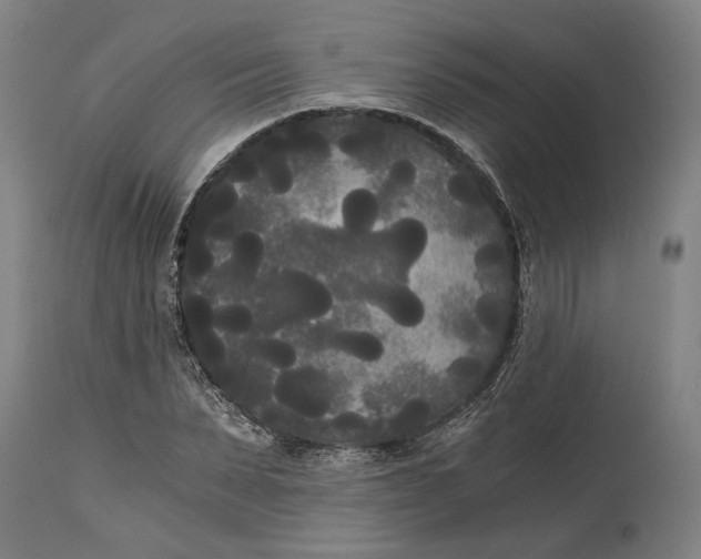 X0000114590879200911161329