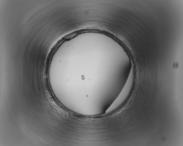 X0000114590880200911161329