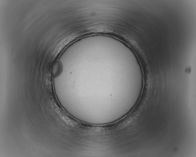 X0000114590881200911161329