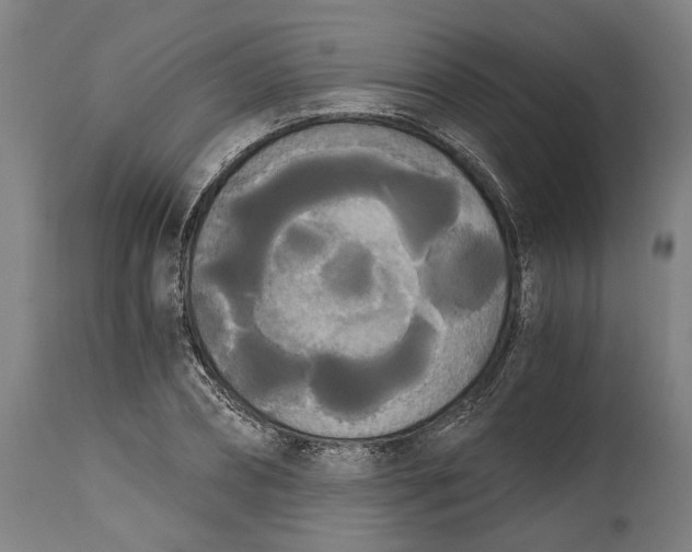 X0000114590882200911161329