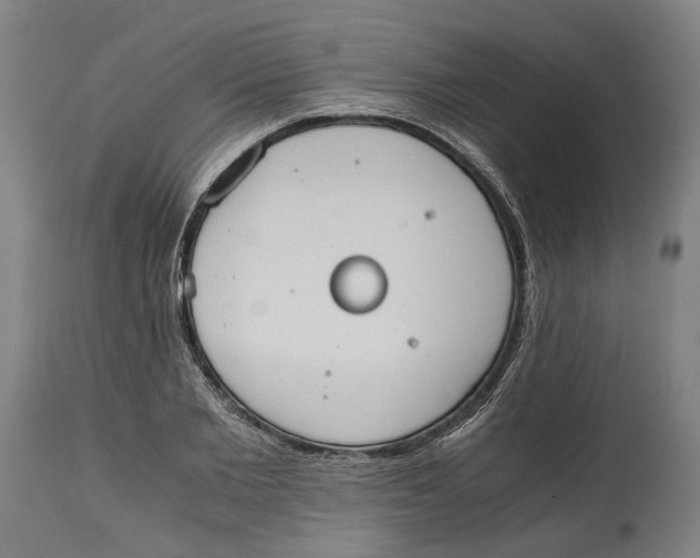 X0000114590885200911161329