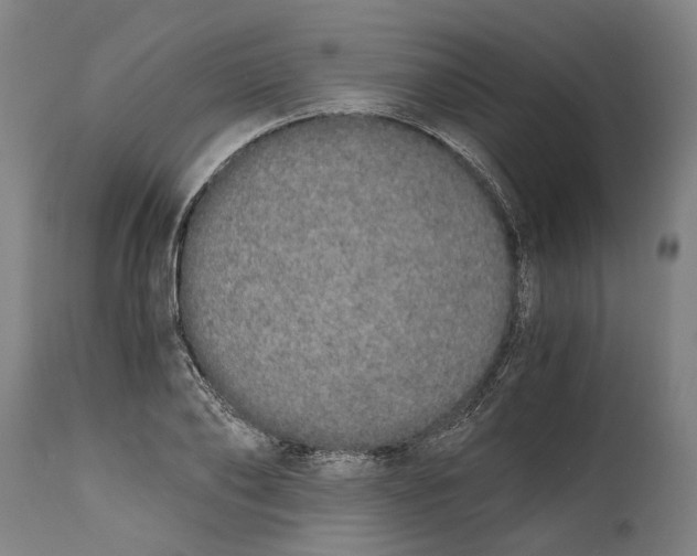 X0000114590886200911161329