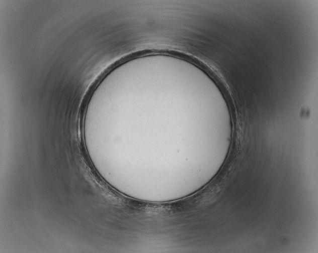 X0000114590887200911161329