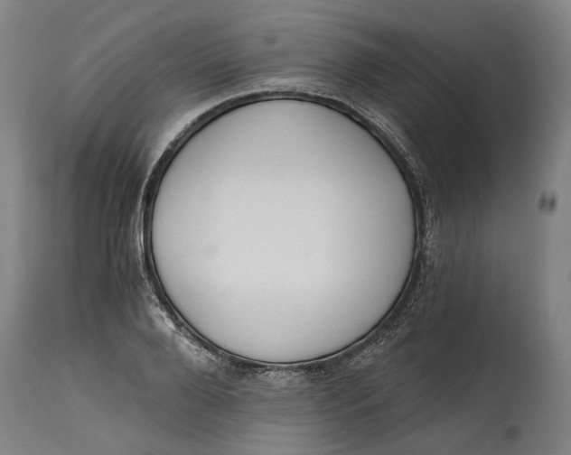 X0000114590888200911161329