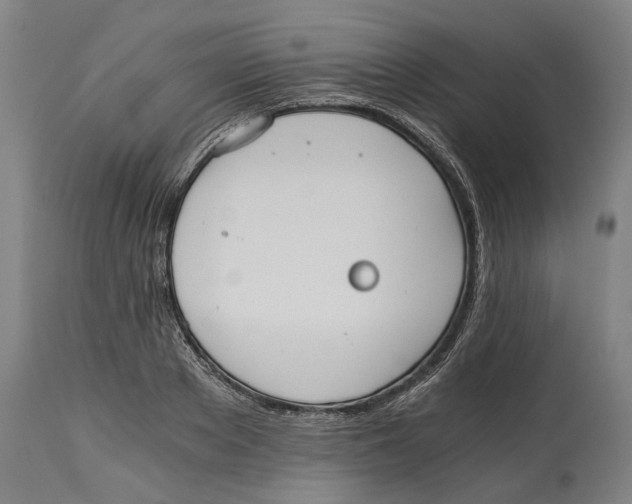 X0000114590889200911161329