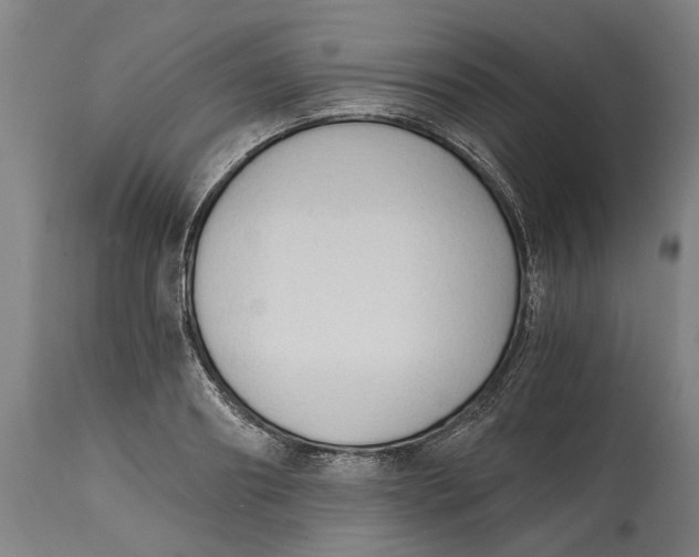 X0000114590890200911161329