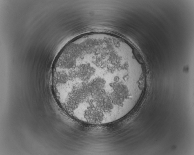 X0000114590891200911161329