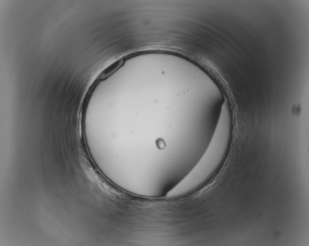 X0000114590892200911161329