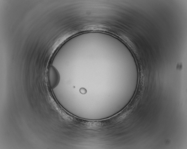 X0000114590893200911161329