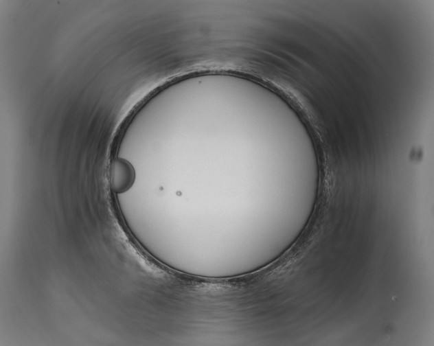 X0000114590894200911161329