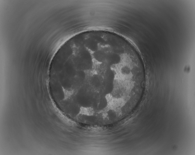 X0000114590895200911161328