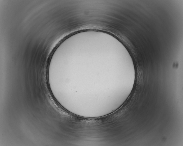 X0000114590896200911161328