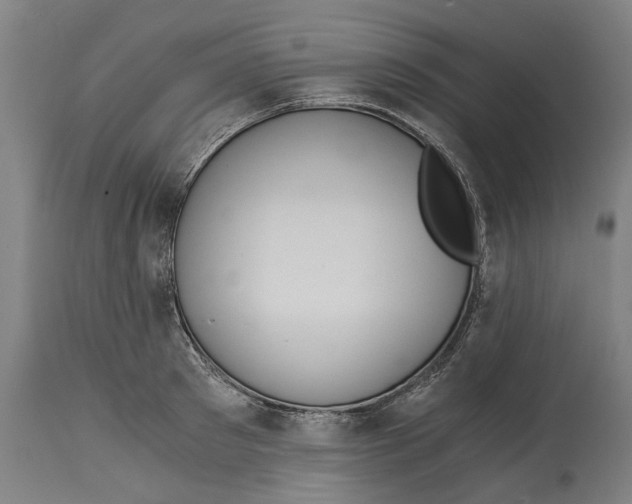 X0000114590897200911161328