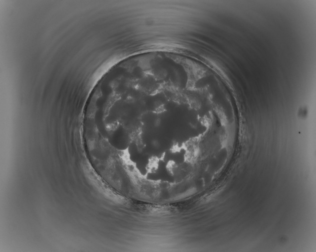 X0000114590899200911161328