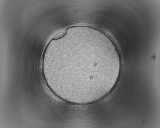 X0000114590900200911161328