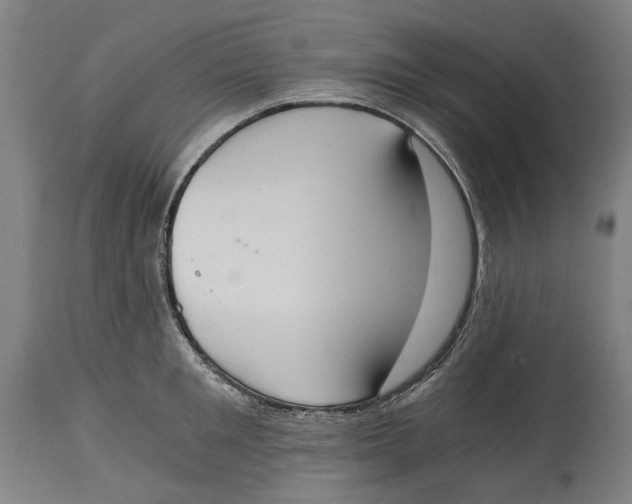 X0000114590901200911161328