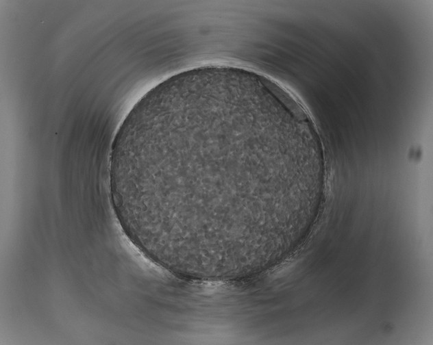 X0000114590903200911161328