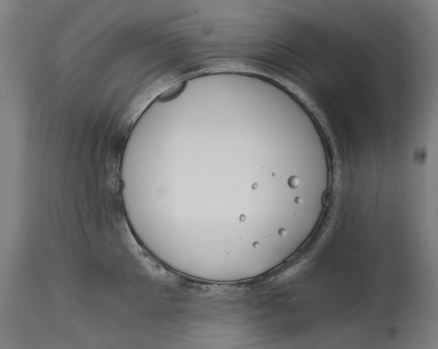 X0000114590905200911161328