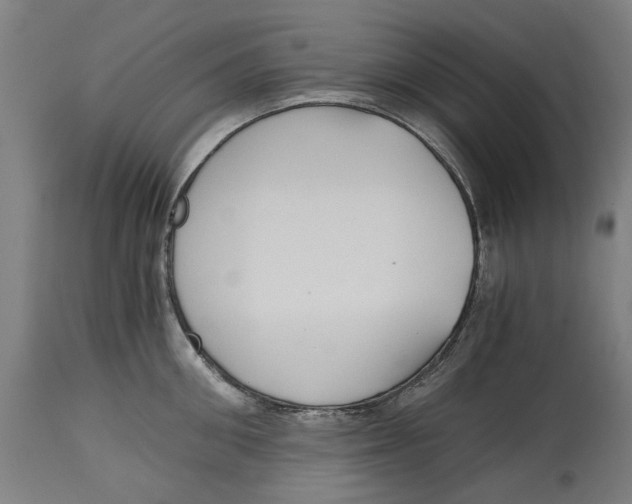 X0000114590906200911161328