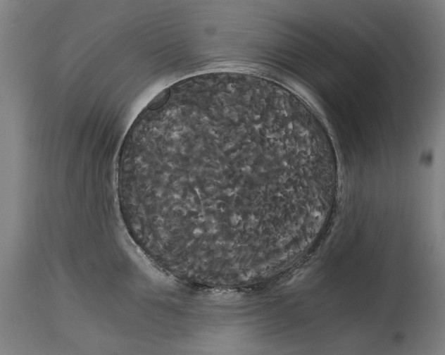 X0000114590907200911161328