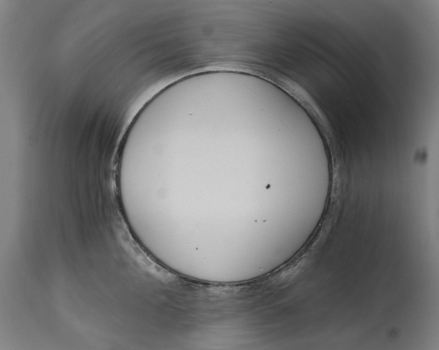 X0000114590908200911161328