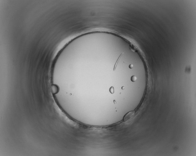 X0000114590910200911161328