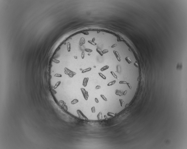 X0000114590911200911161328