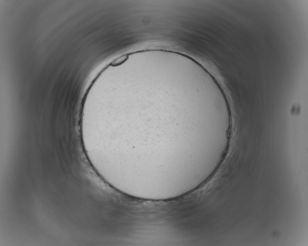 X0000114590912200911161328