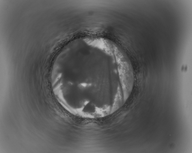 X0000114590913200911161328