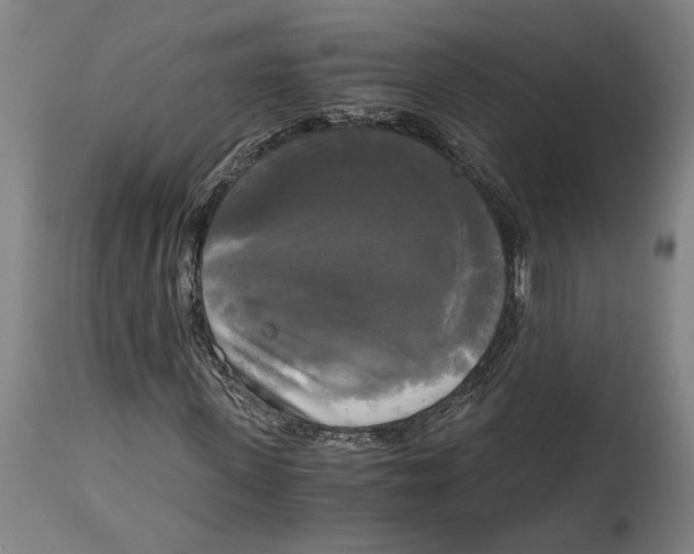 X0000114590915200911161328