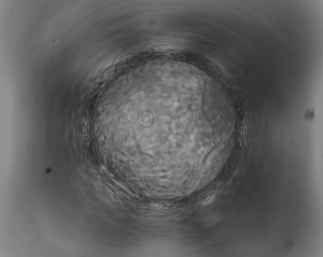 X0000114590917200911161328