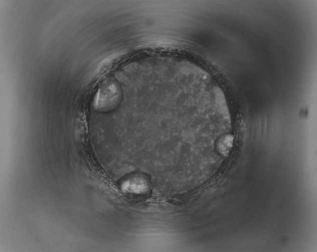 X0000114590918200911161328