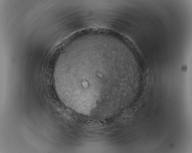 X0000114590919200911161328