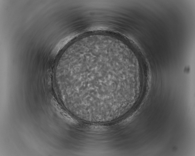 X0000114590921200911161328