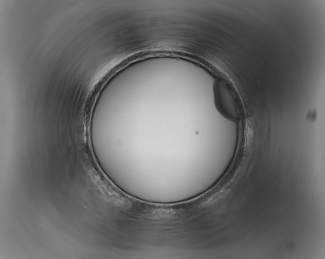 X0000114590925200911161328