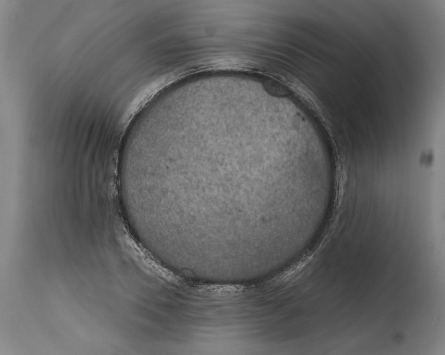 X0000114590930200911161328