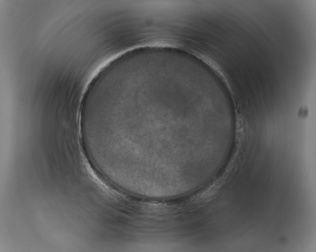 X0000114590935200911161328