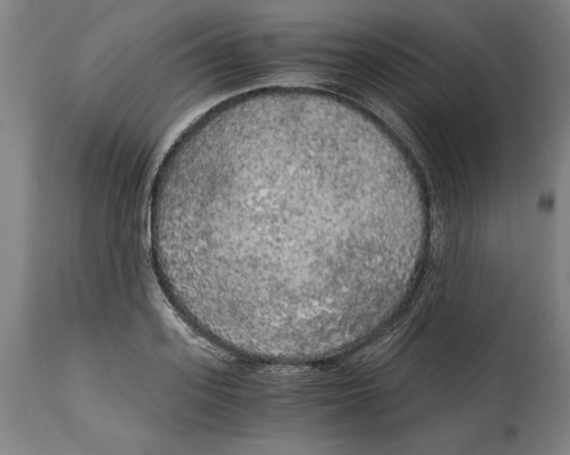 X0000114590939200911161328