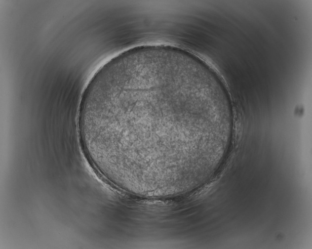 X0000114590943200911161328