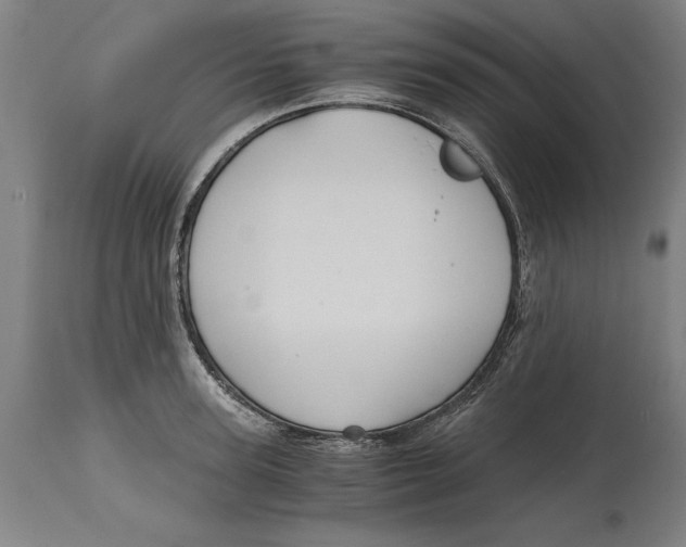 X0000114590947200911161328