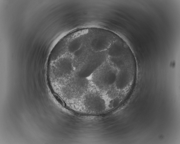 X0000114590949200911161328