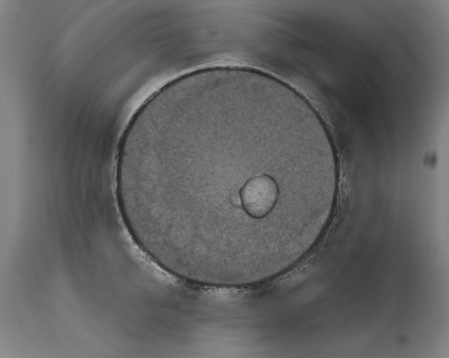 X0000114590950200911161328