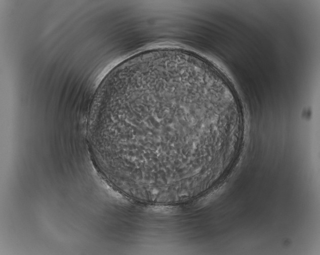 X0000114590953200911161328