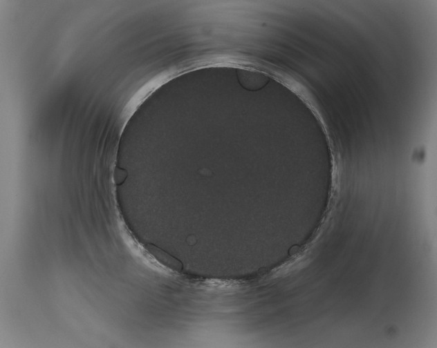 X0000114590954200911161328